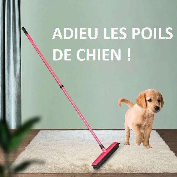 Multifunctional Broom With Telescopic Handle For Pet Hair