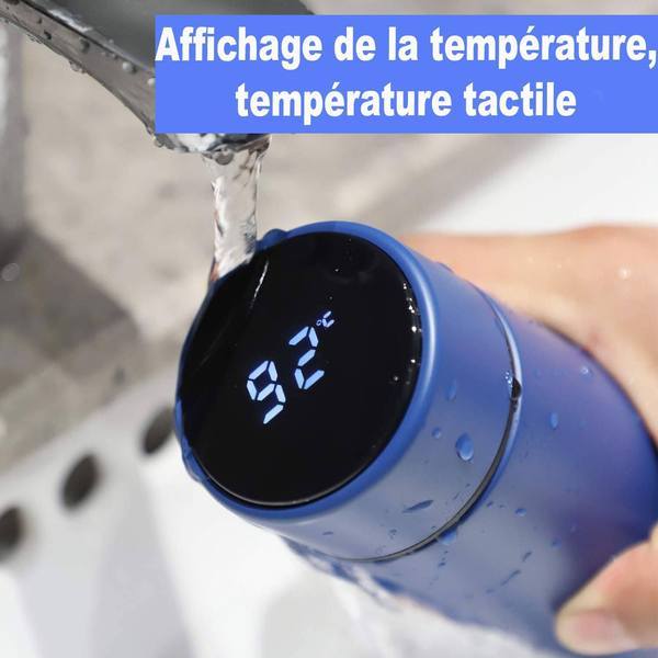 Insulated Thermos Bottle with Temperature Display