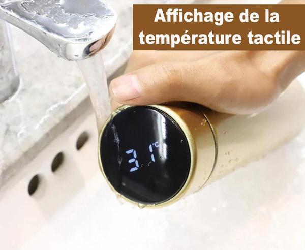 Insulated Thermos Bottle with Temperature Display