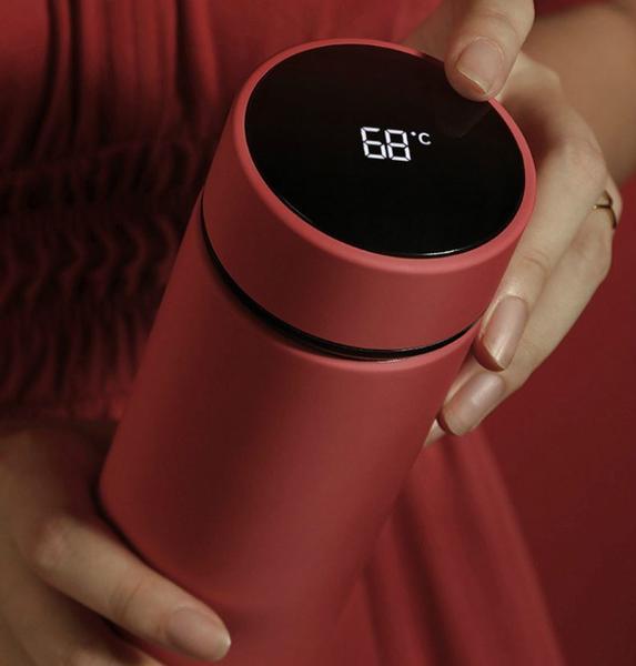 Insulated Thermos Bottle with Temperature Display