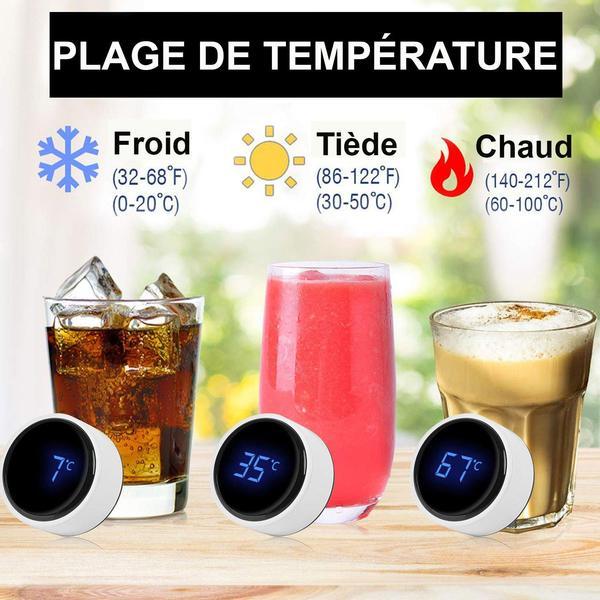 Insulated Thermos Bottle with Temperature Display