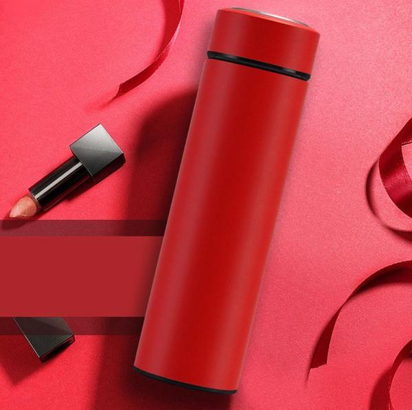 Insulated Thermos Bottle with Temperature Display