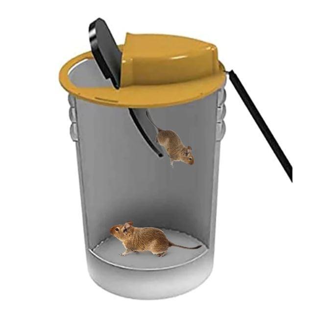 Mouse Trap With Bucket Lid