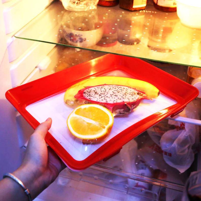 Food Storage Tray