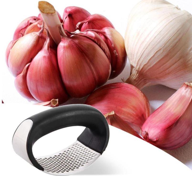 Stainless Steel Garlic Press