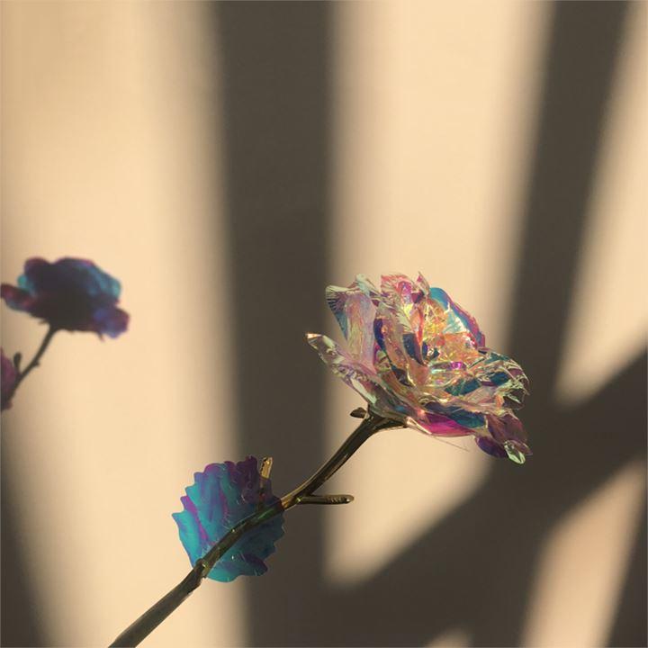 Radiant Rose in Crystal and Rose Gold