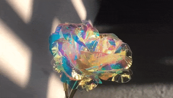 Radiant Rose in Crystal and Rose Gold